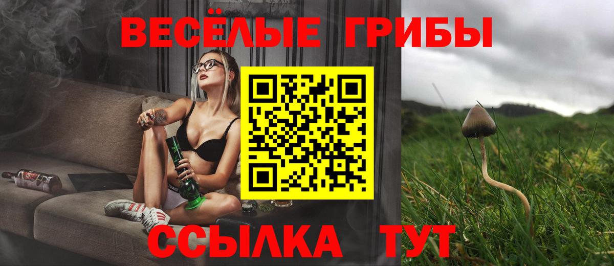 Псилоцибиновые грибы MAGIC MUSHROOMS Сланцы