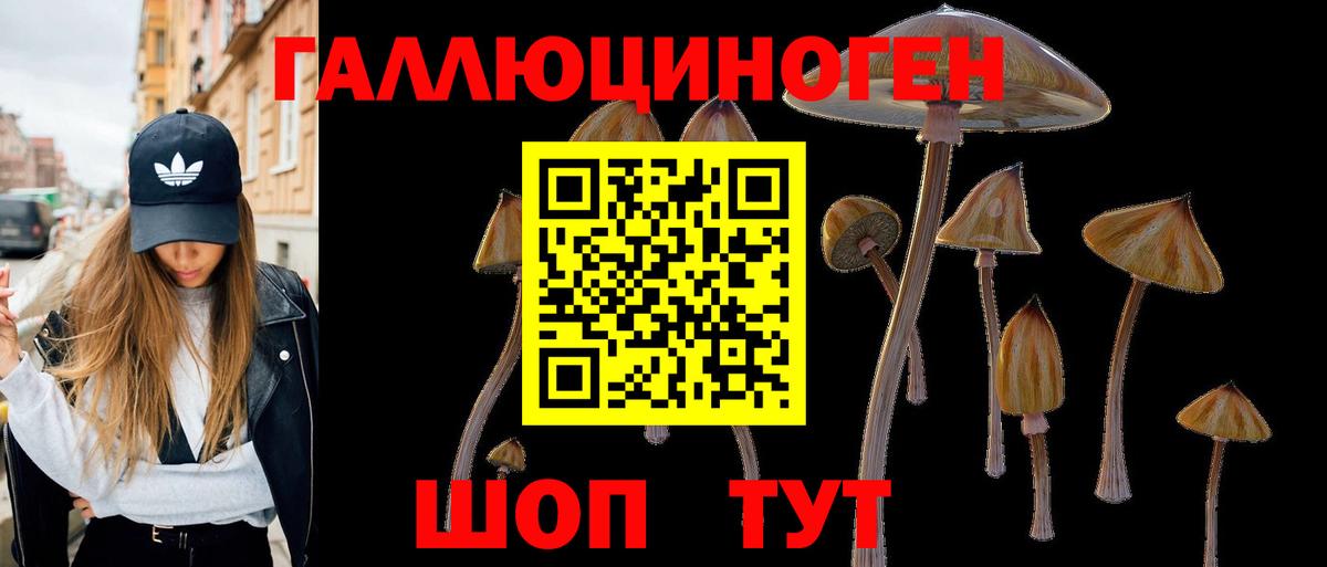 Галлюциногенные грибы мицелий  Вход с VPN  Псилоцибиновые грибы мухоморы  Сланцы 