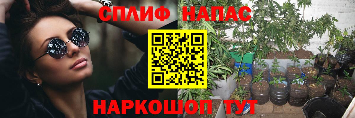 Марихуана OG Kush Сланцы